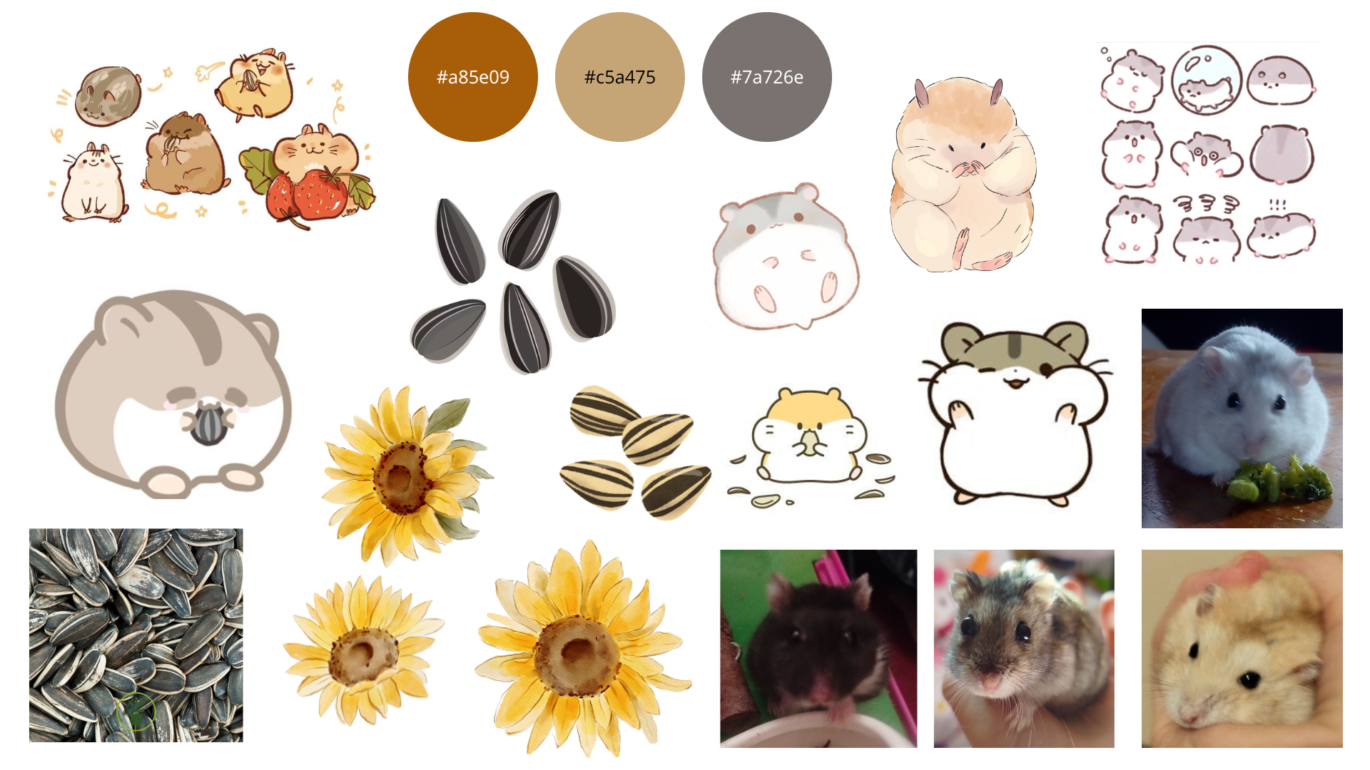 moodboard hamster